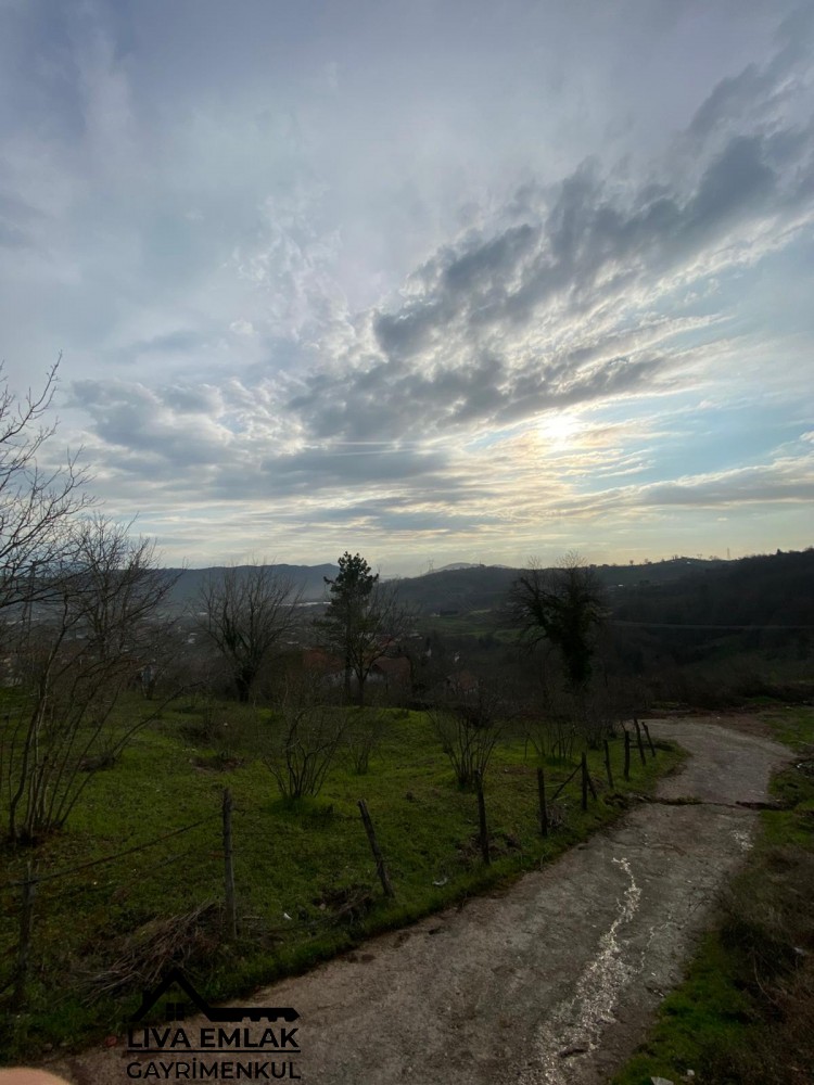 Kdz.Ereğli Emlak